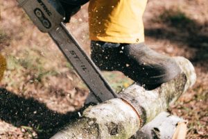 chainsaw-cutting-small-branches